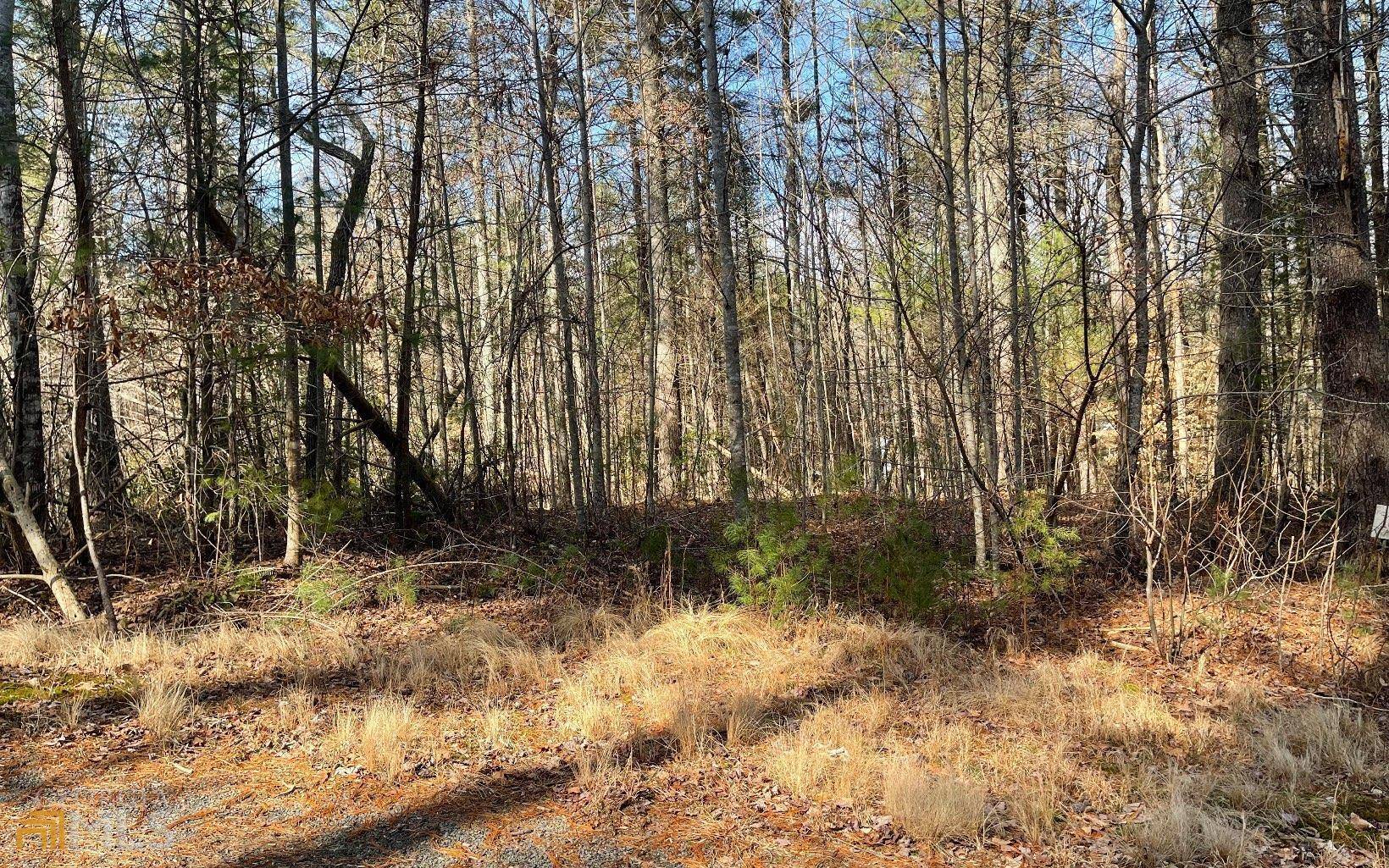 Young Harris, GA 30582,LOT 18 Brookhaven