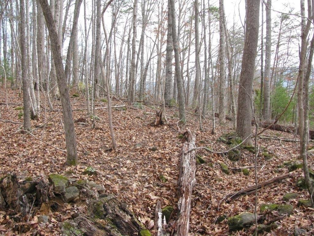 Hiawassee, GA 30546,0 Bradshaw & Barnett RD