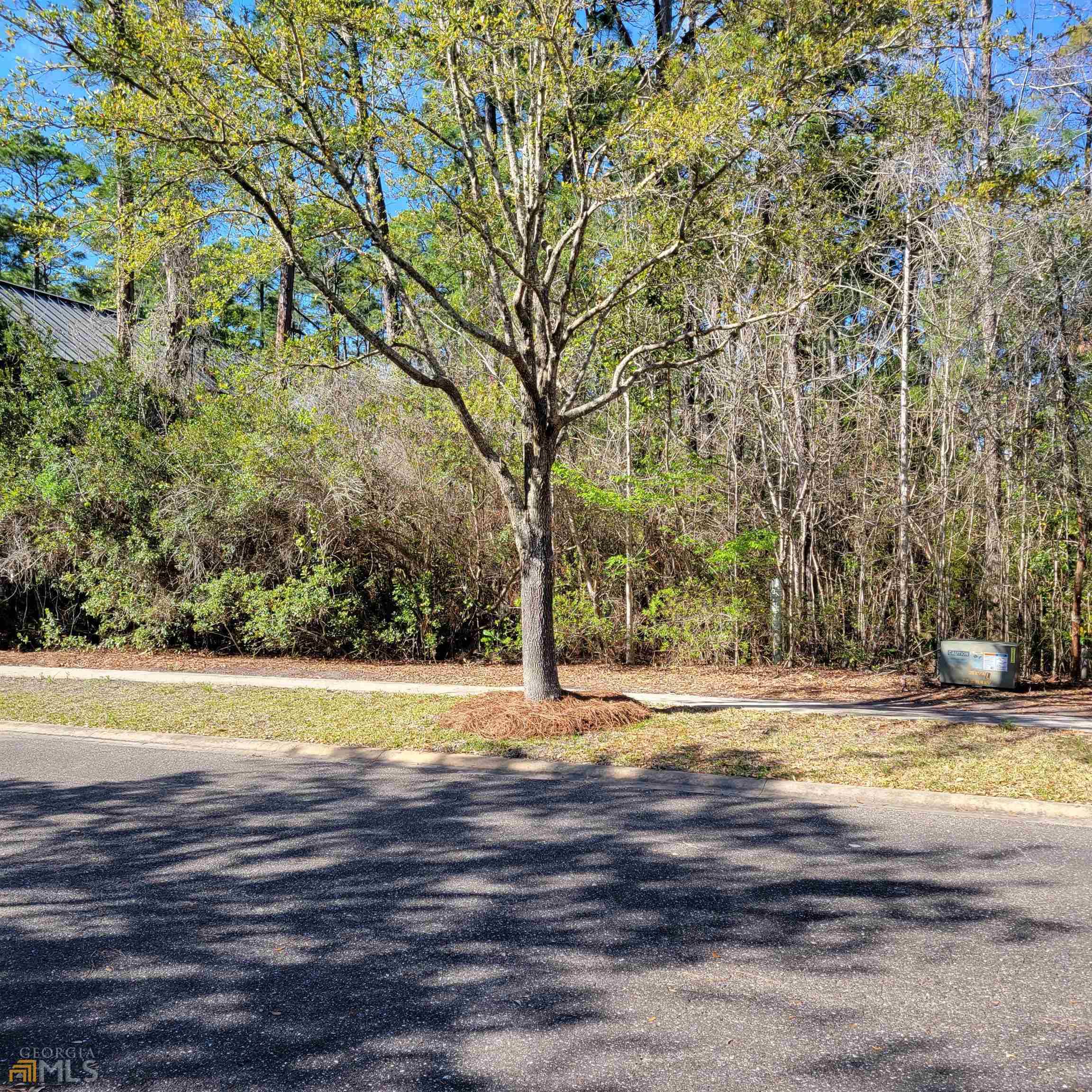 St. Marys, GA 31558,502 Charleston WAY