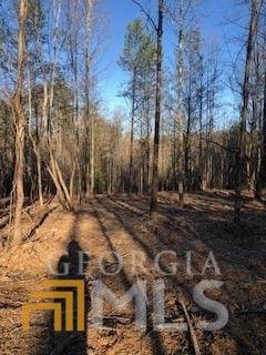 Dahlonega, GA 30533,LOT 1 Still RD