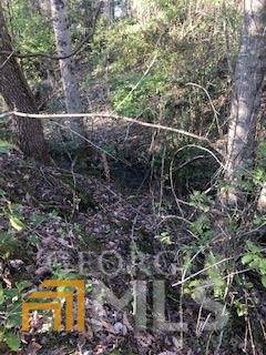 Dahlonega, GA 30533,LOT 1 Still RD