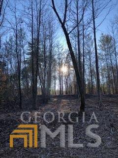 Dahlonega, GA 30533,LOT 1 Still RD