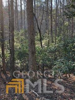 Dahlonega, GA 30533,LOT 5 Still RD
