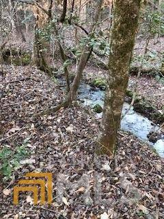 Dahlonega, GA 30533,LOT 5 Still RD