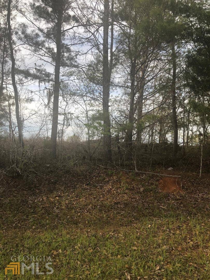 Hawkinsville, GA 31036,0 Crabapple DR