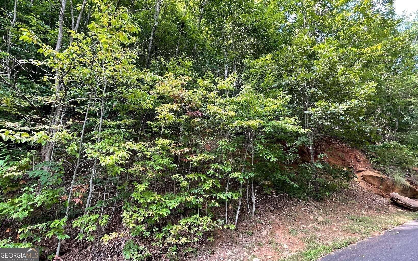 Young Harris, GA 30582,LOT 34 Overlook At Young Harris