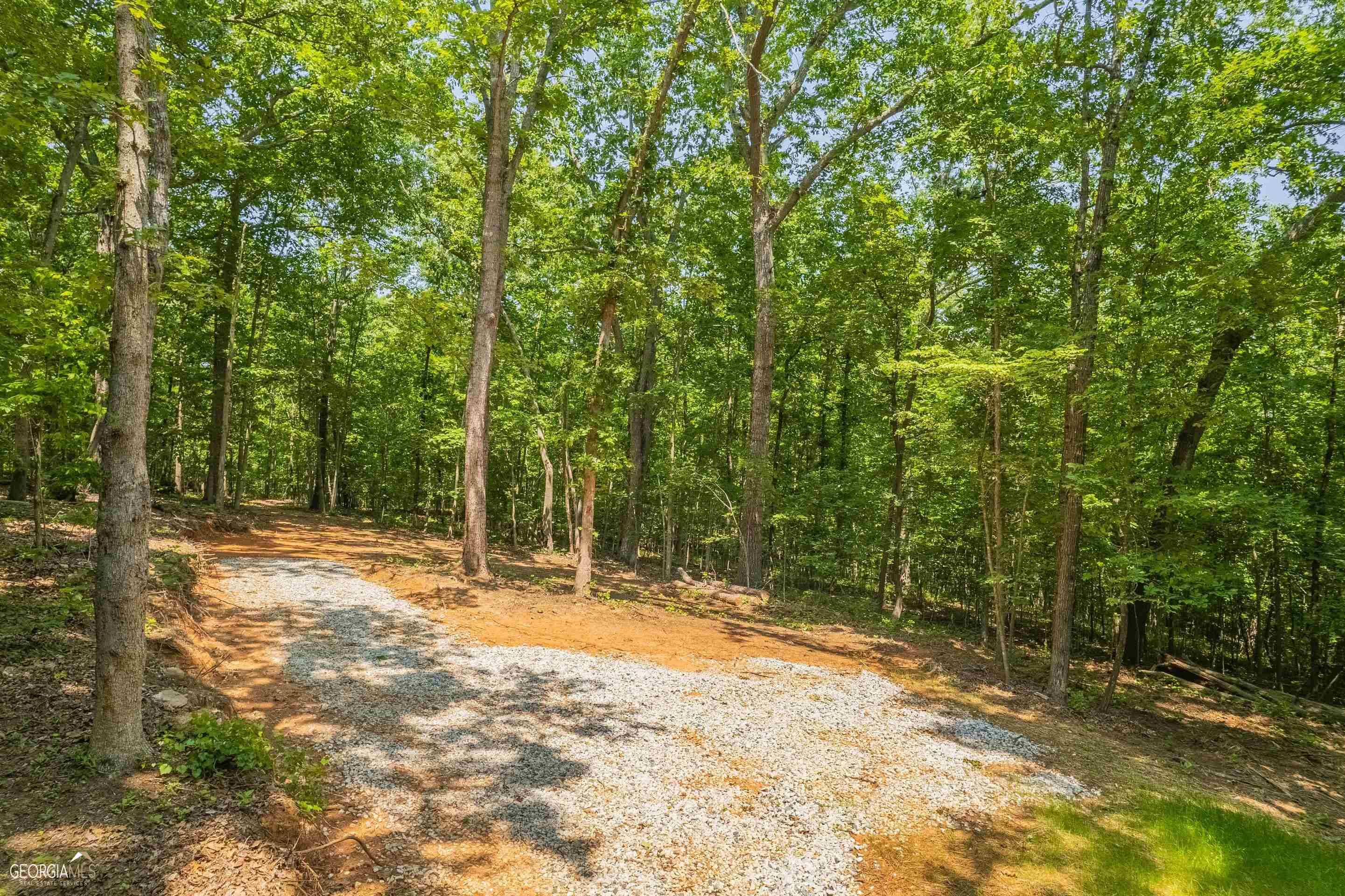 Martin, GA 30557,LOT C N Holcomb Dr. (14.85 Acres)