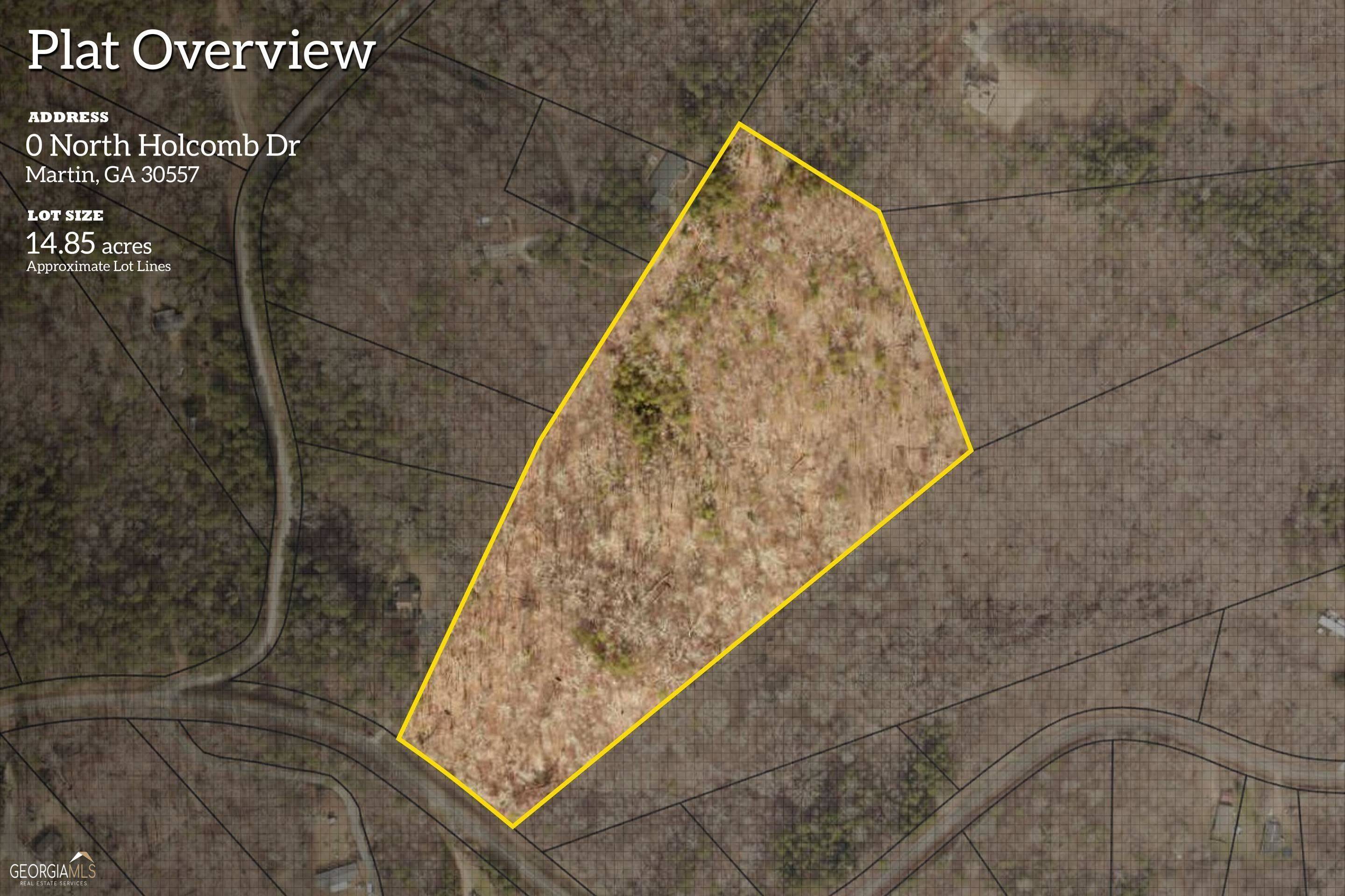 Martin, GA 30557,LOT C N Holcomb Dr. (14.85 Acres)