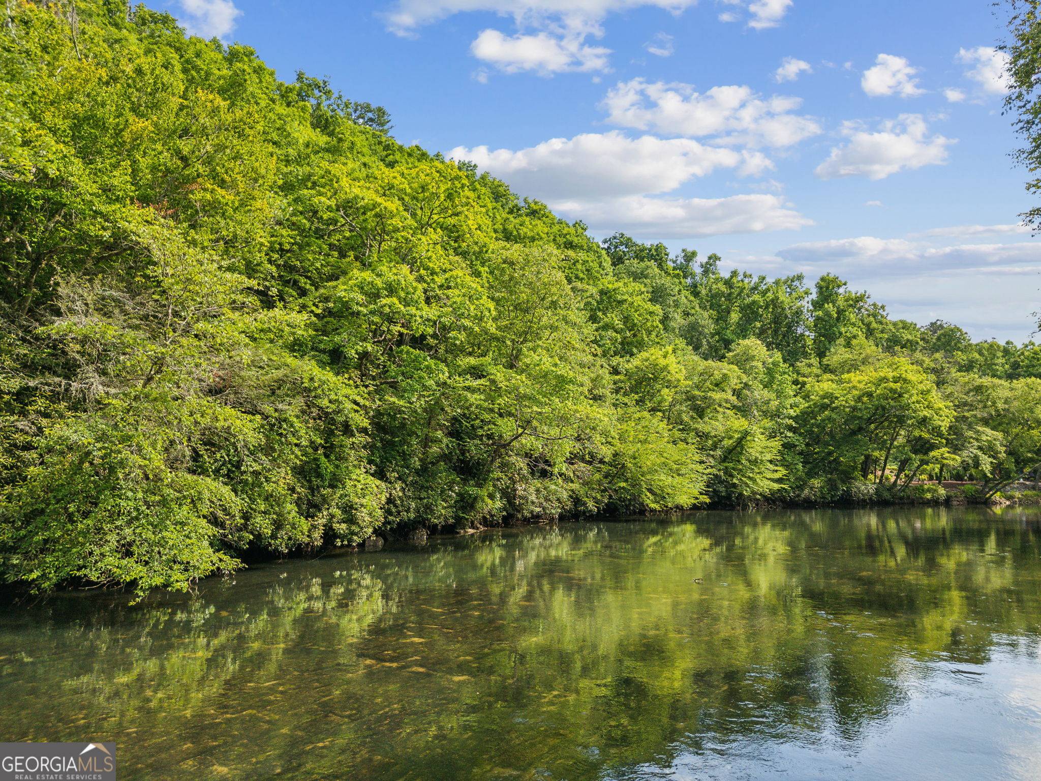 Mineral Bluff, GA 30559,0 Cross Creek RD
