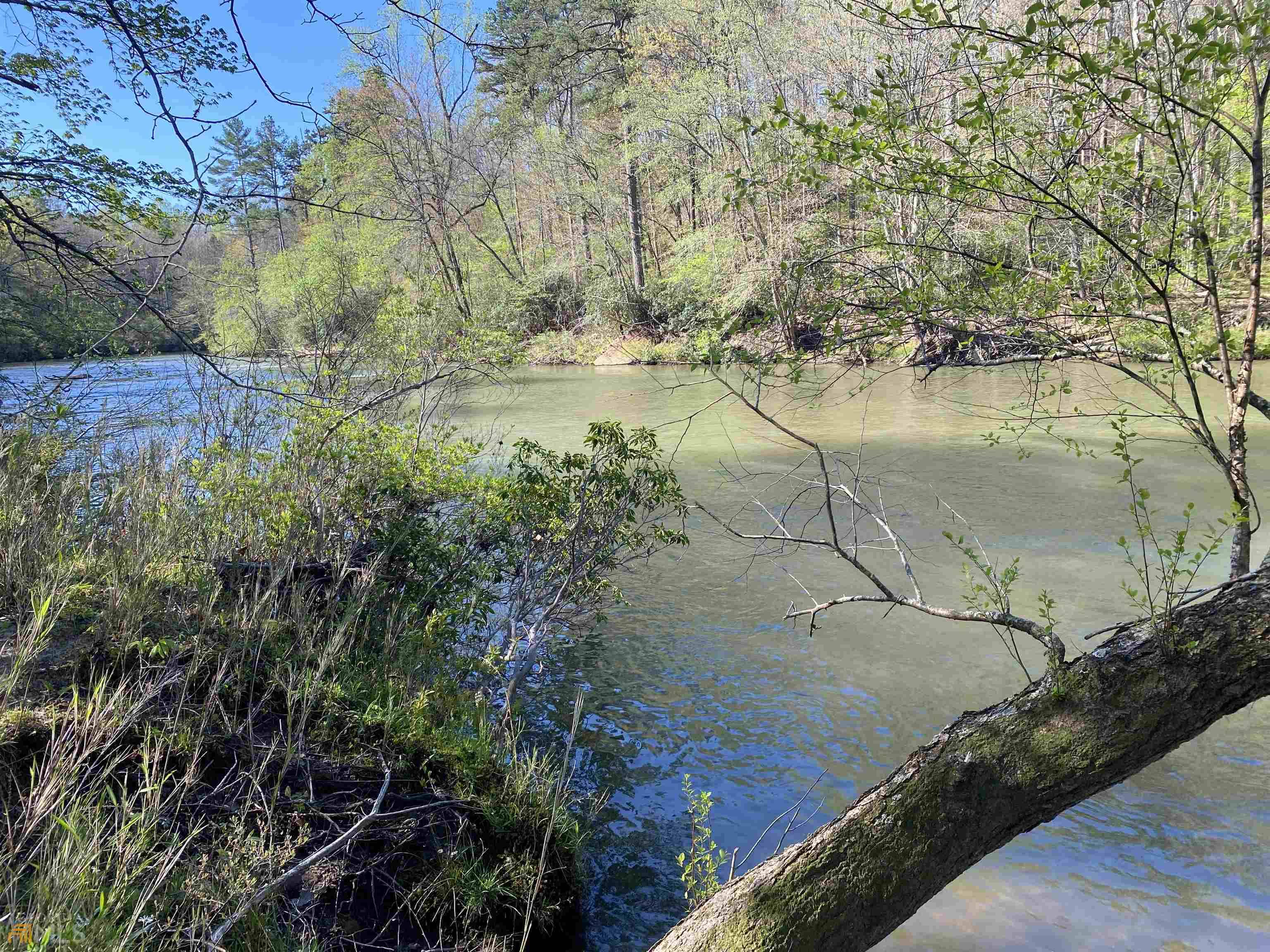 Demorest, GA 30535,0 Twin River Orchard RD