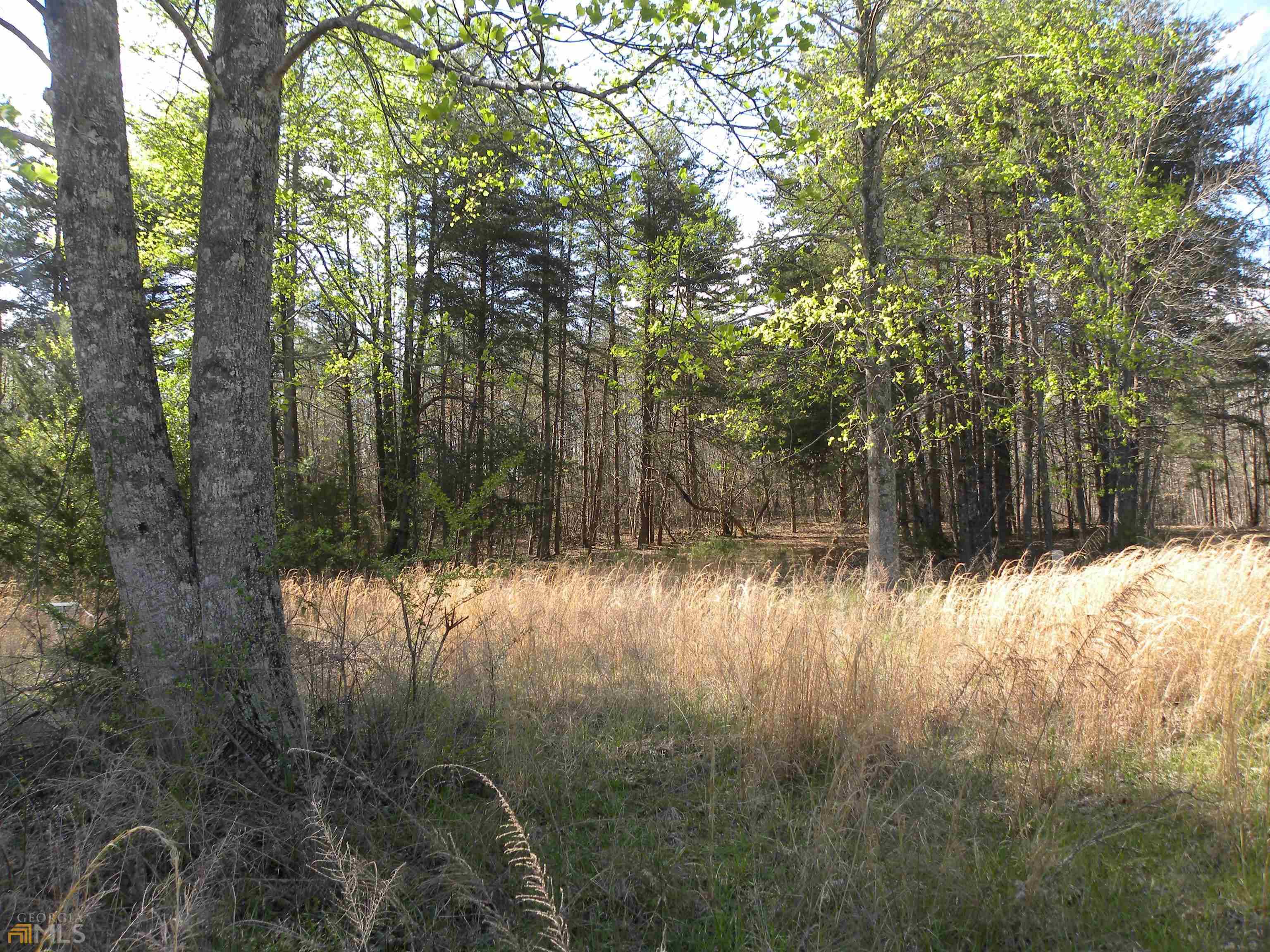 Toccoa, GA 30577,0 Dibbun DR