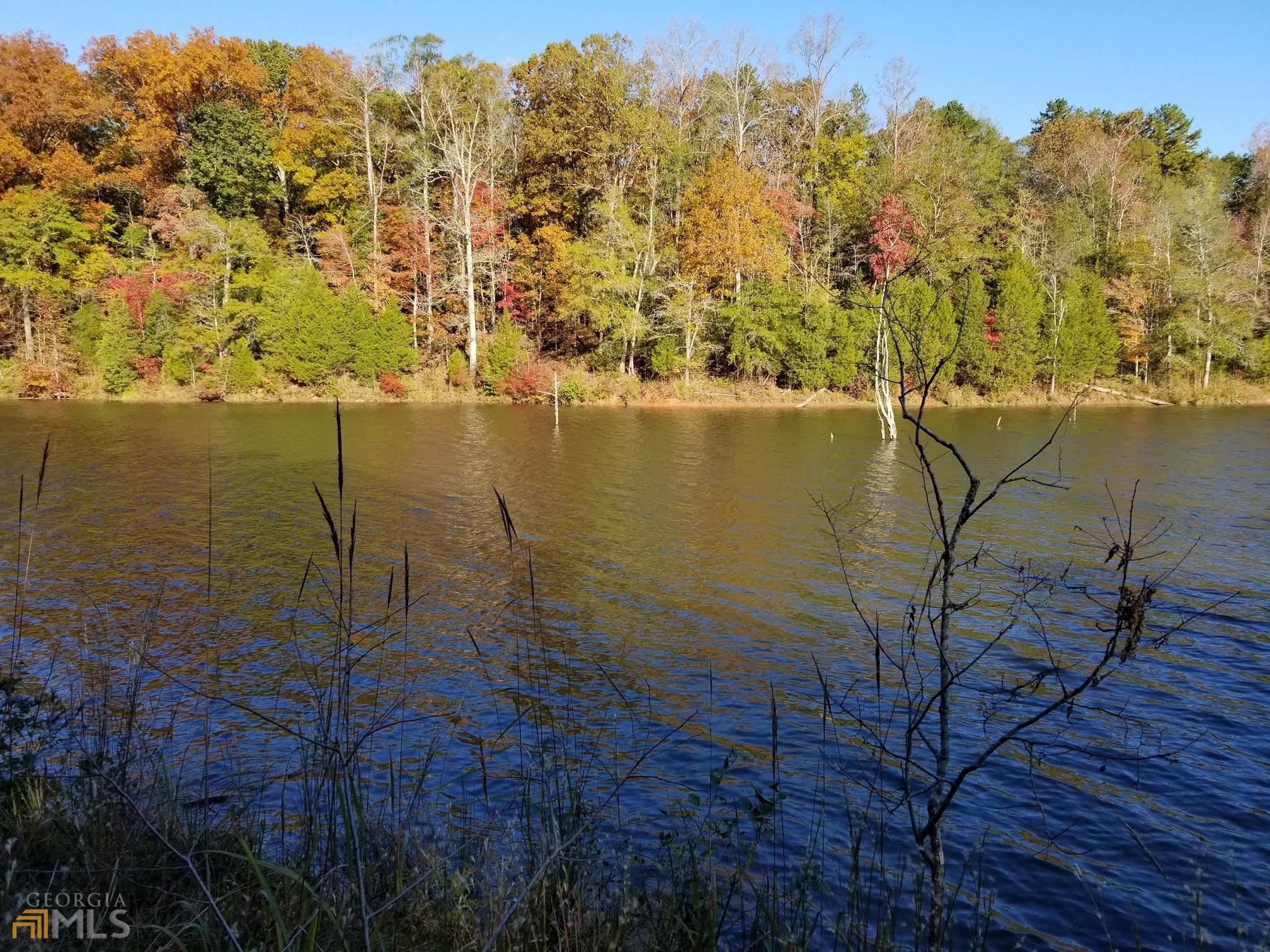 Elberton, GA 30635,0 Hornets Bridge DR