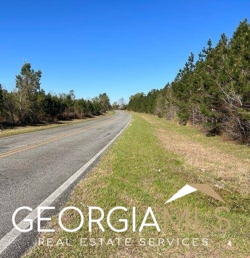 Sylvania, GA 30467,0 Burton's Ferry/bascom RD