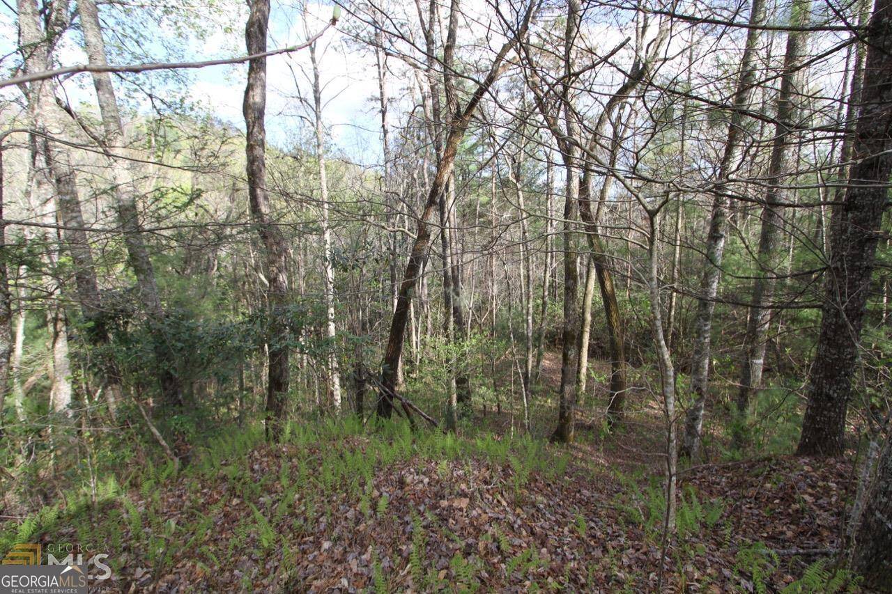 Dillard, GA 30537,0 Shadow Mountain