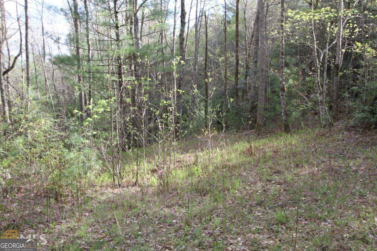 Dillard, GA 30537,0 Shadow Mountain