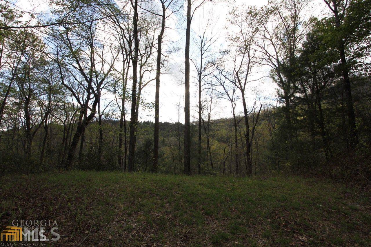 Dillard, GA 30537,0 Shadow Mountain DR #36