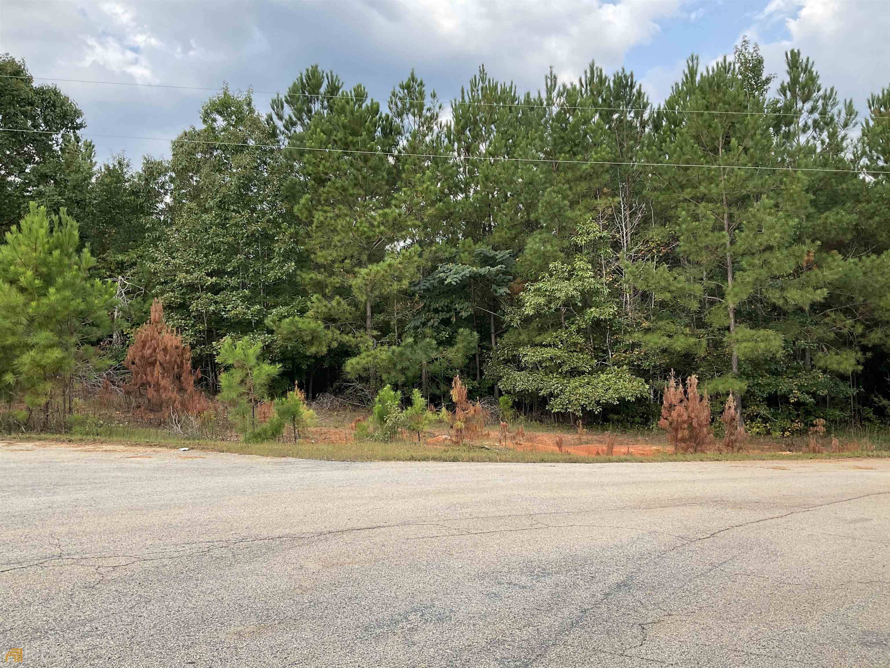 Monticello, GA 31064,0 Anna Claire CT #LOT 11