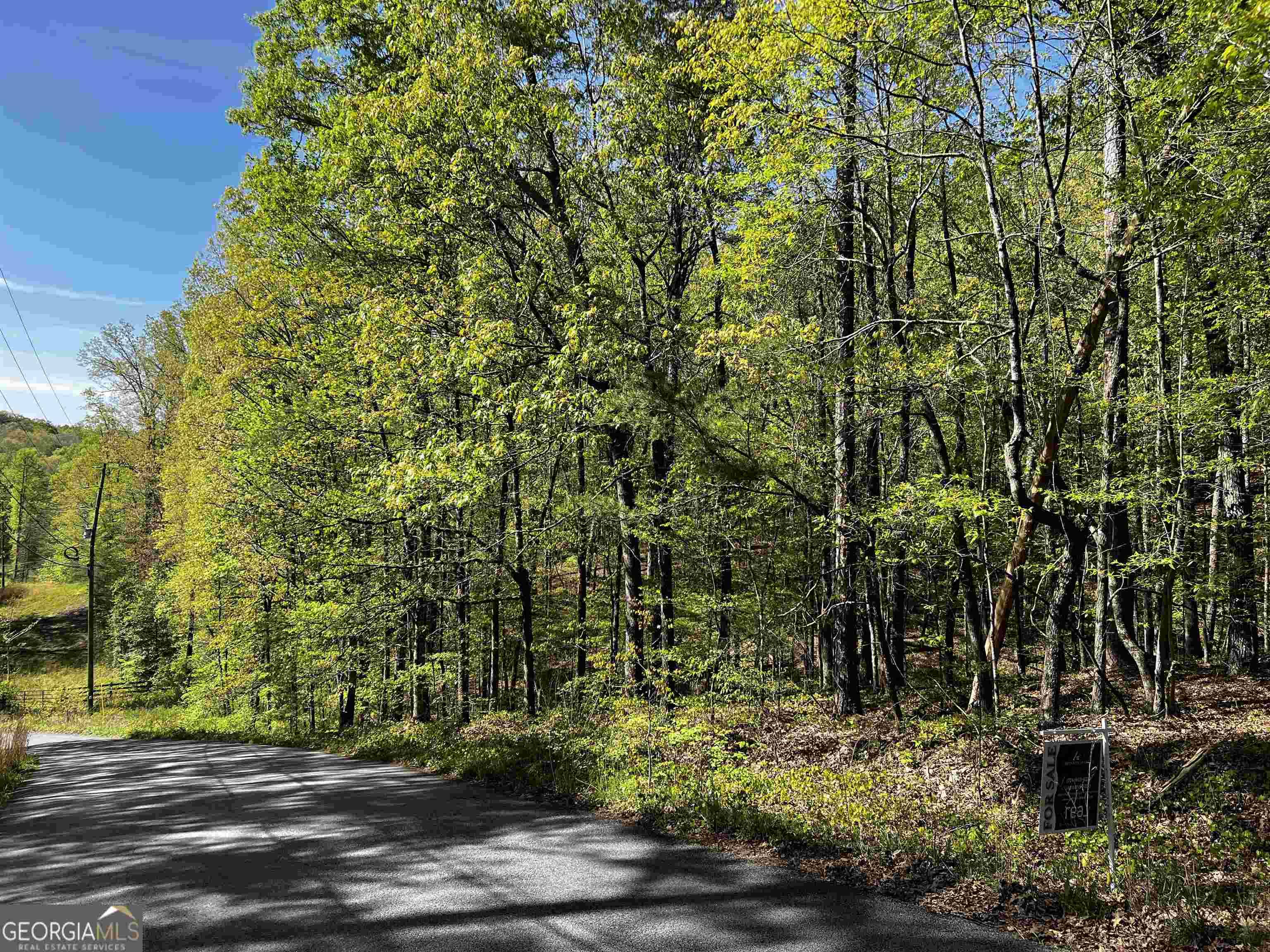 Cleveland, GA 30528,0 Peaceful Valley