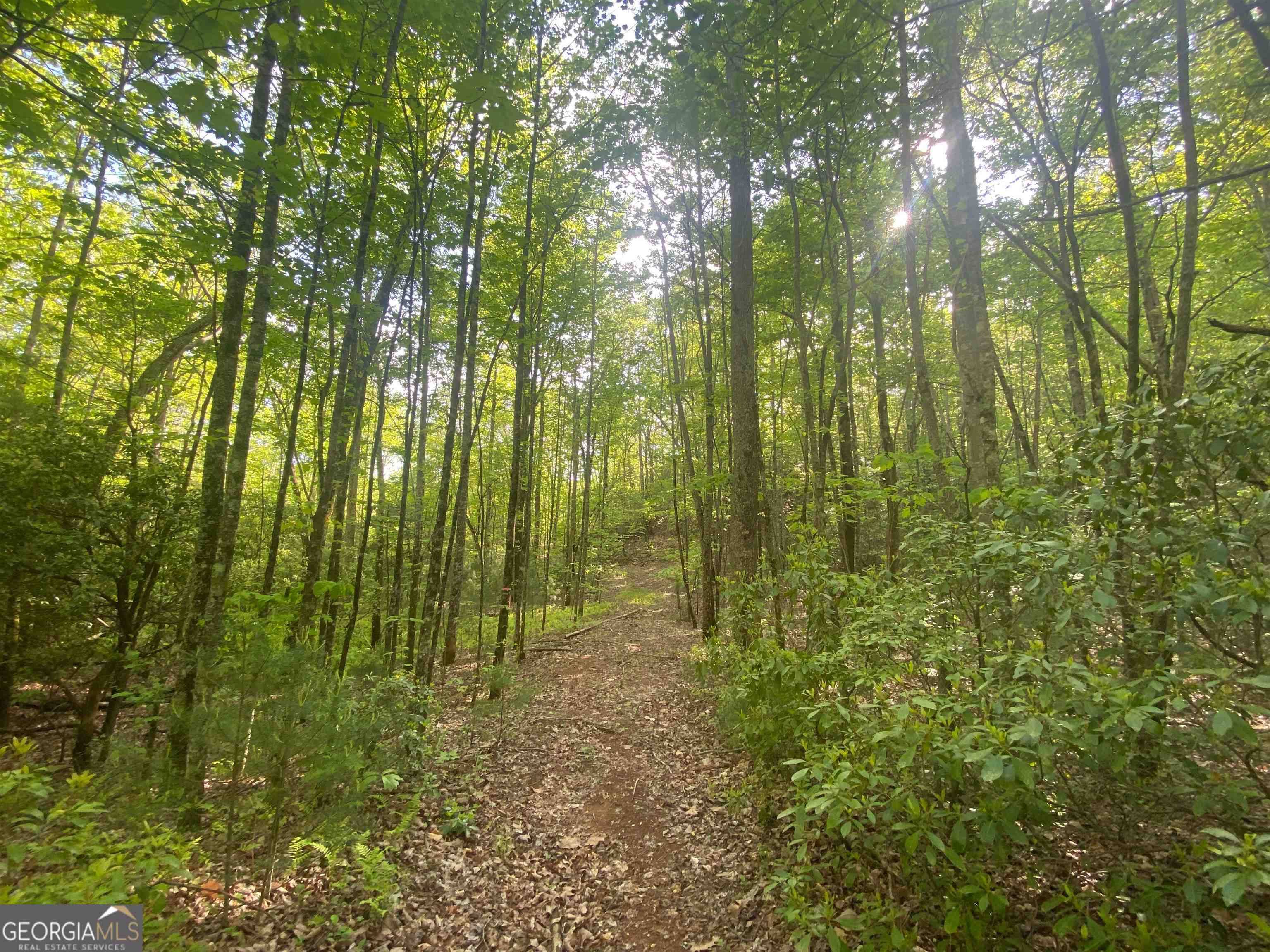 Cleveland, GA 30528,741 Harkins Road Tract B #B