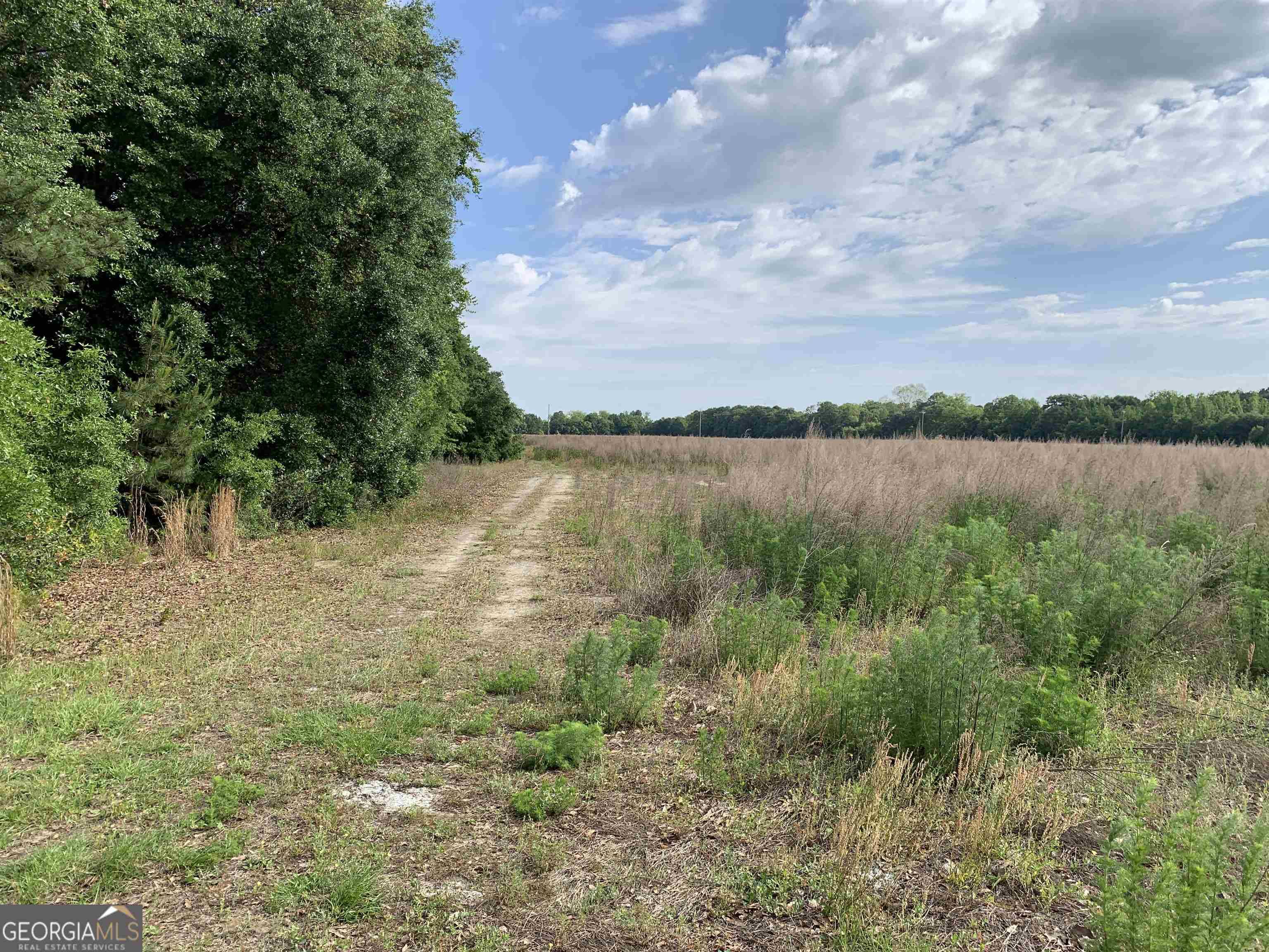 Sylvania, GA 30467,0 Mock ST #LOT 3