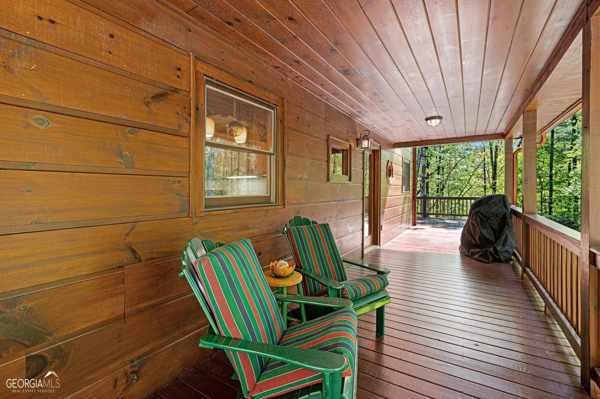Mineral Bluff, GA 30559,156 Porch Swing WAY