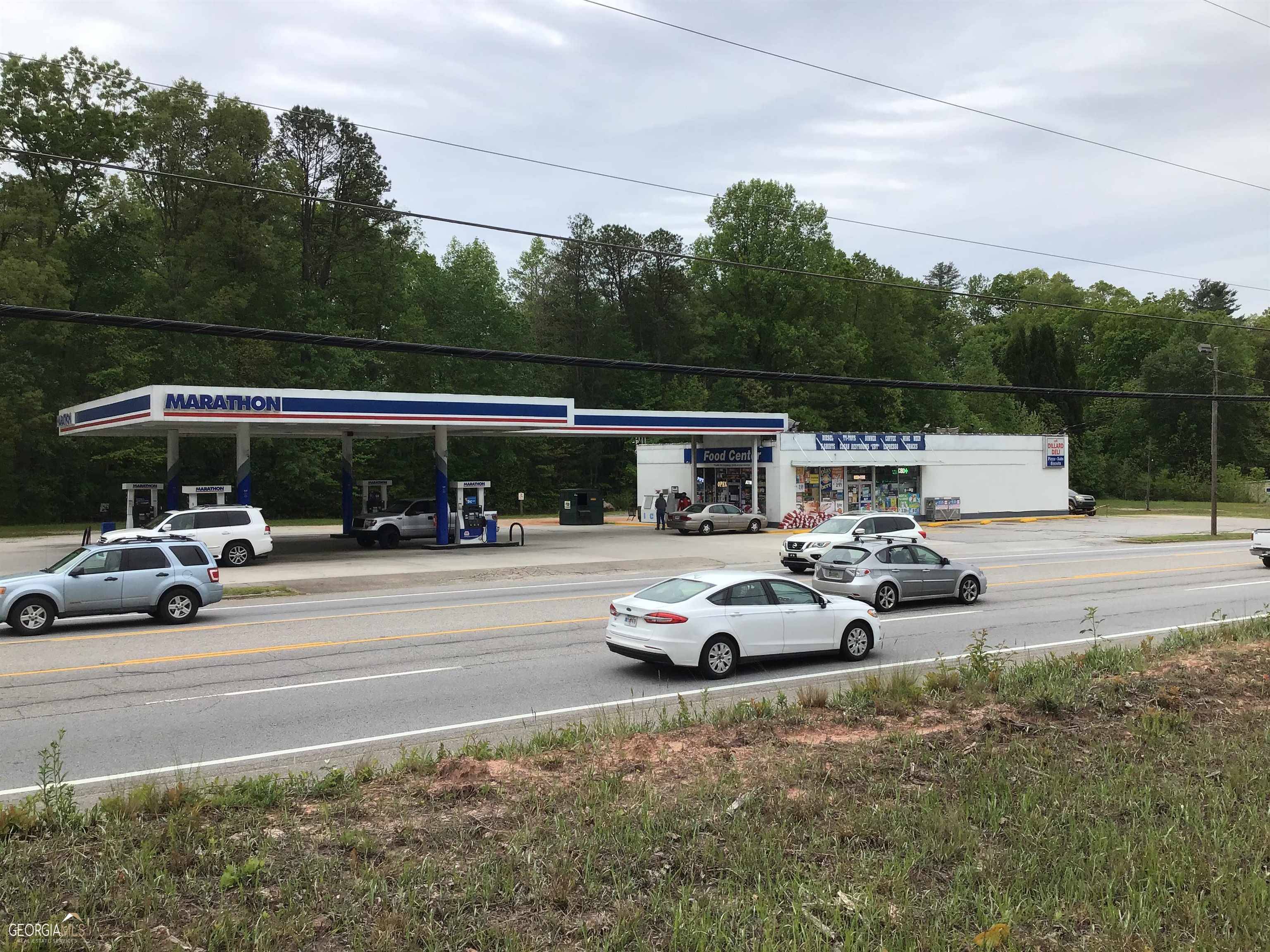 Dillard, GA 30537,0 Highway 441 North