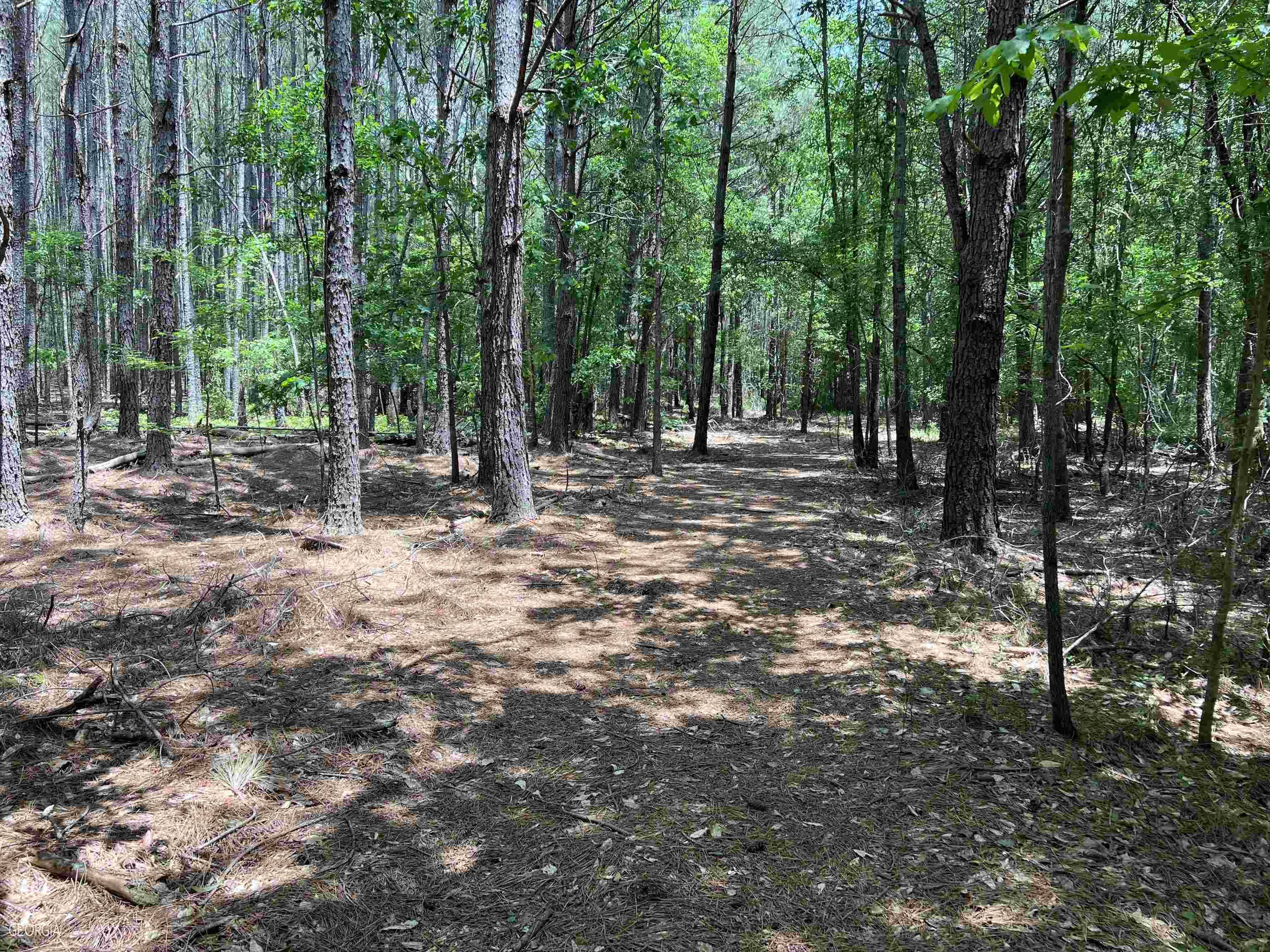 Toccoa, GA 30577,0 Shawnee