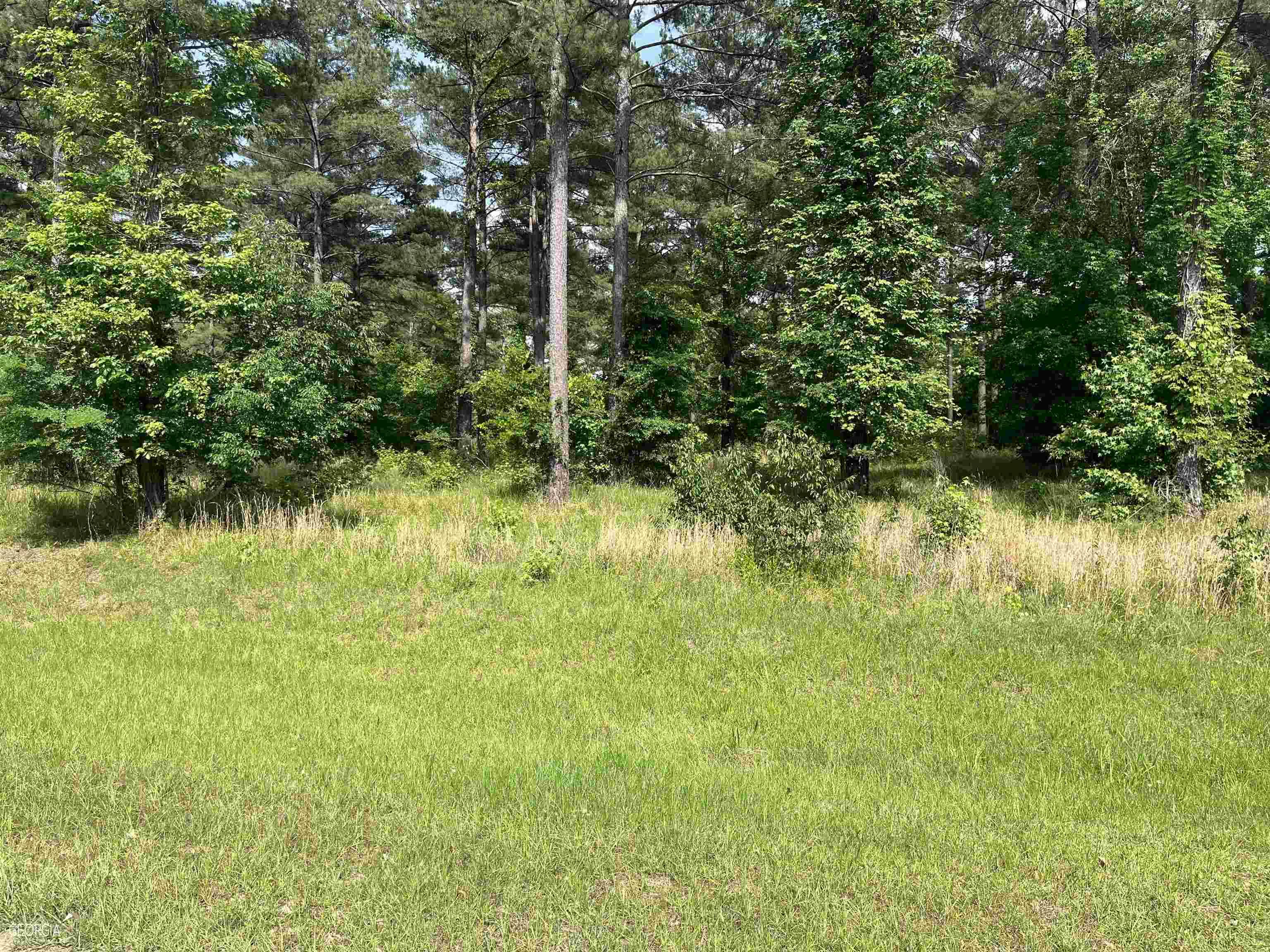 Perry, GA 31069,LOT 92 Potters Road