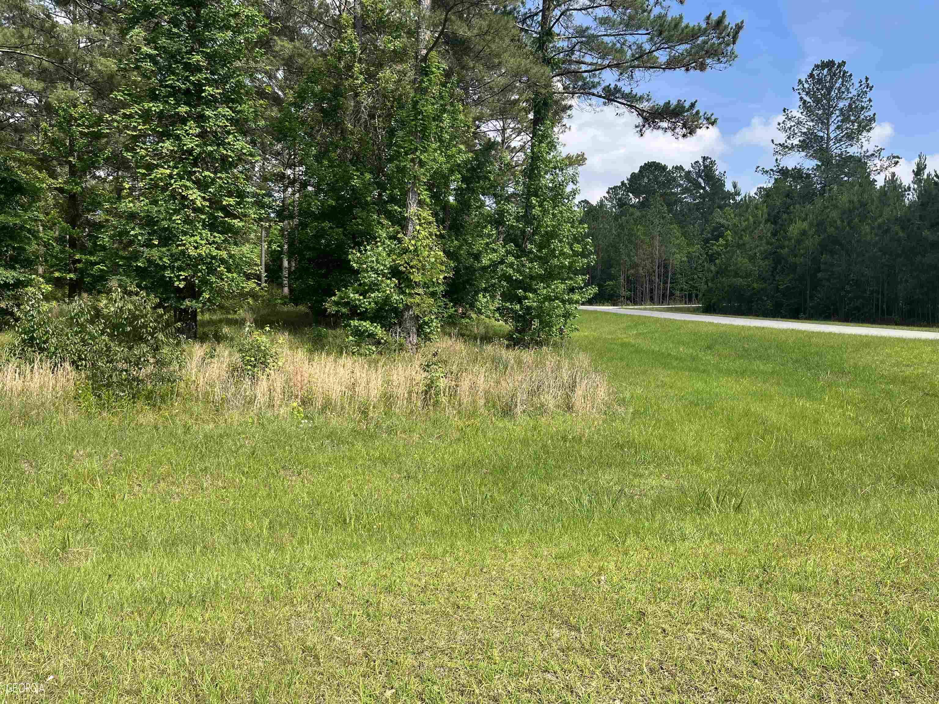 Perry, GA 31069,LOT 92 Potters Road