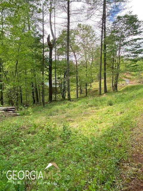 Hayesvillelot 11, NC 28904,0 Slate Stone DR #11