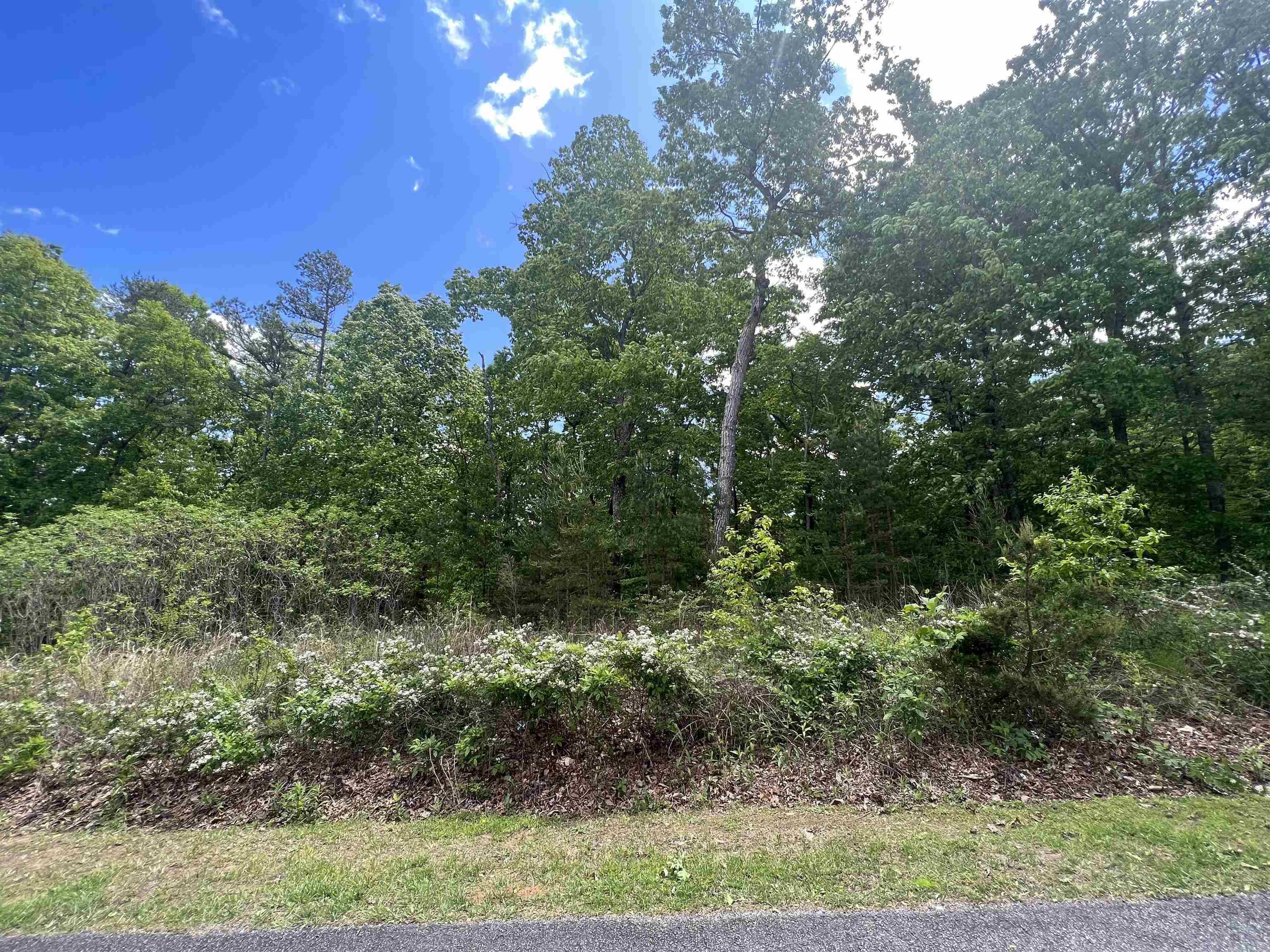 Cleveland, GA 30528,LOT 55 Teel Mtn