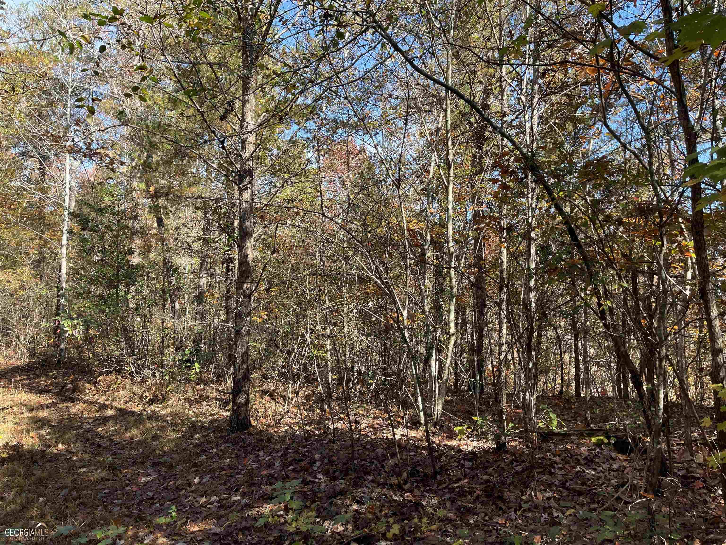 Toccoa, GA 30577,0 Sunshine Ridge Drive