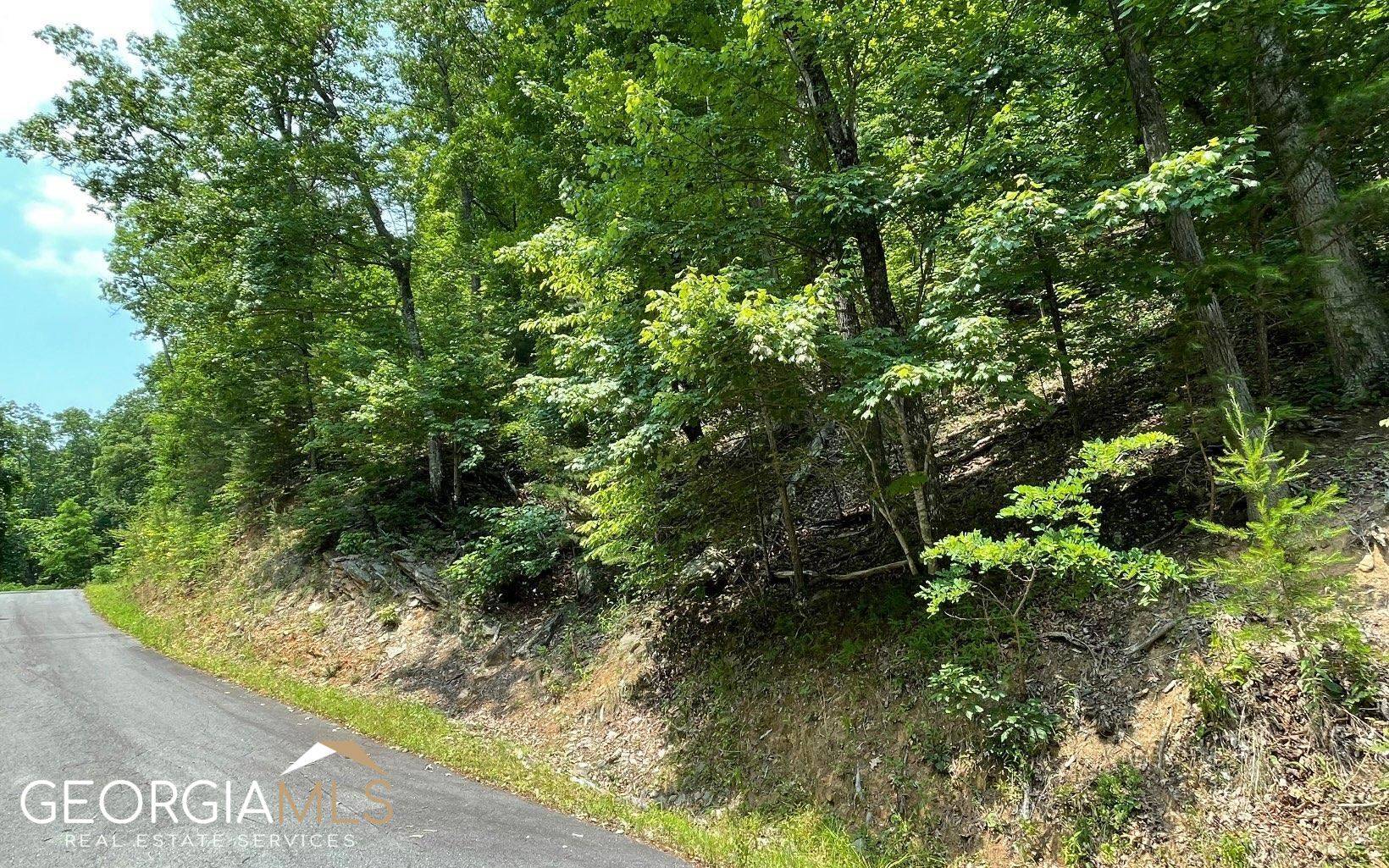 Young Harris, GA 30582,LOT 21 Bald Eagle Drive