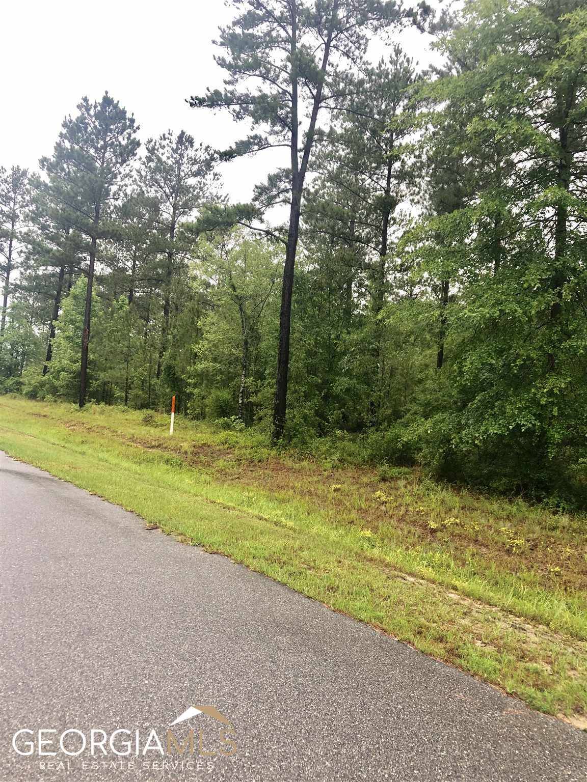 Dublin, GA 31021,0 Rock Springs RD #LOT 9