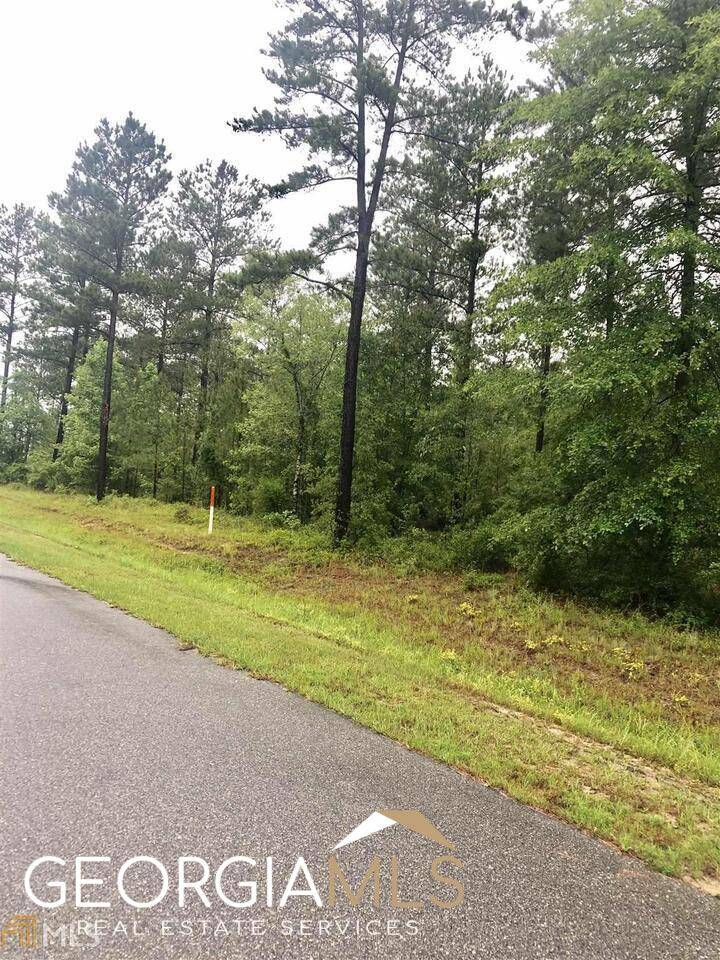 Dublin, GA 31021,0 Apalachicola TRL #LOT 41