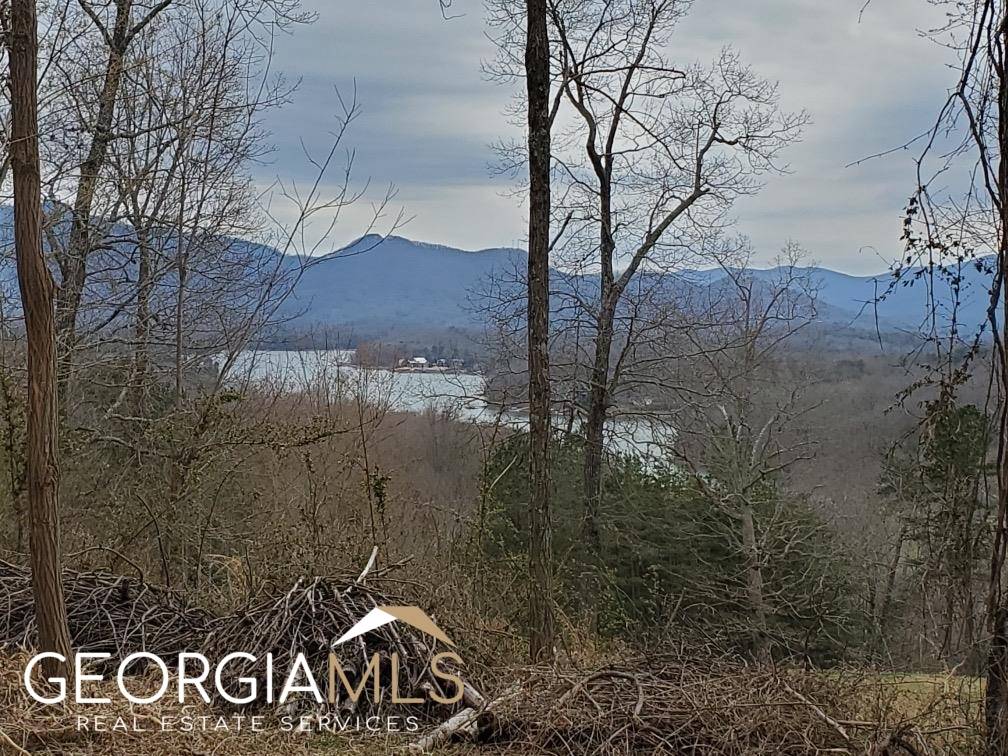 Hayesville, NC 28904,LOT 14 Panorama Forest Estates