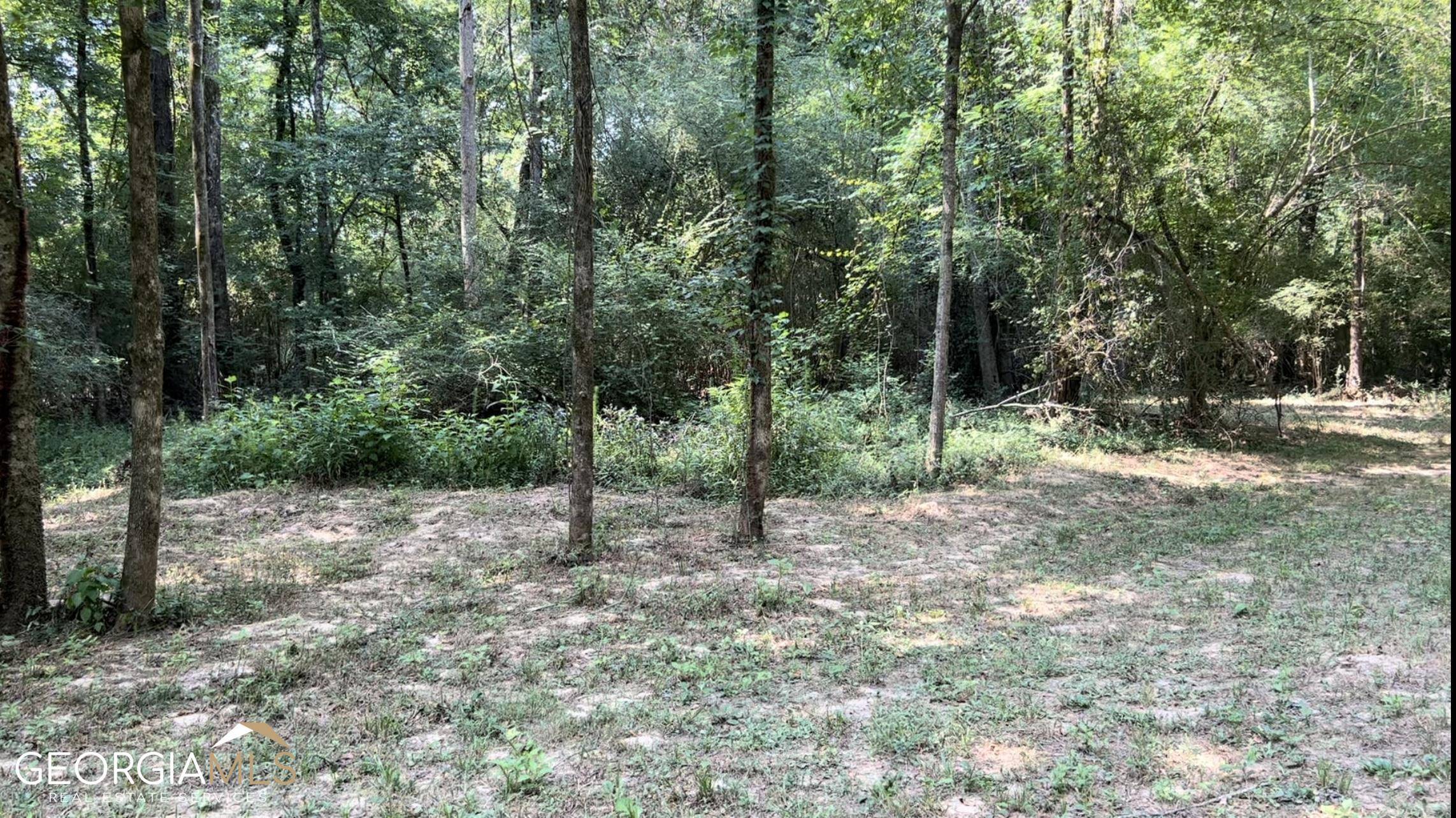 Lizella, GA 31052,0 Chapman RD