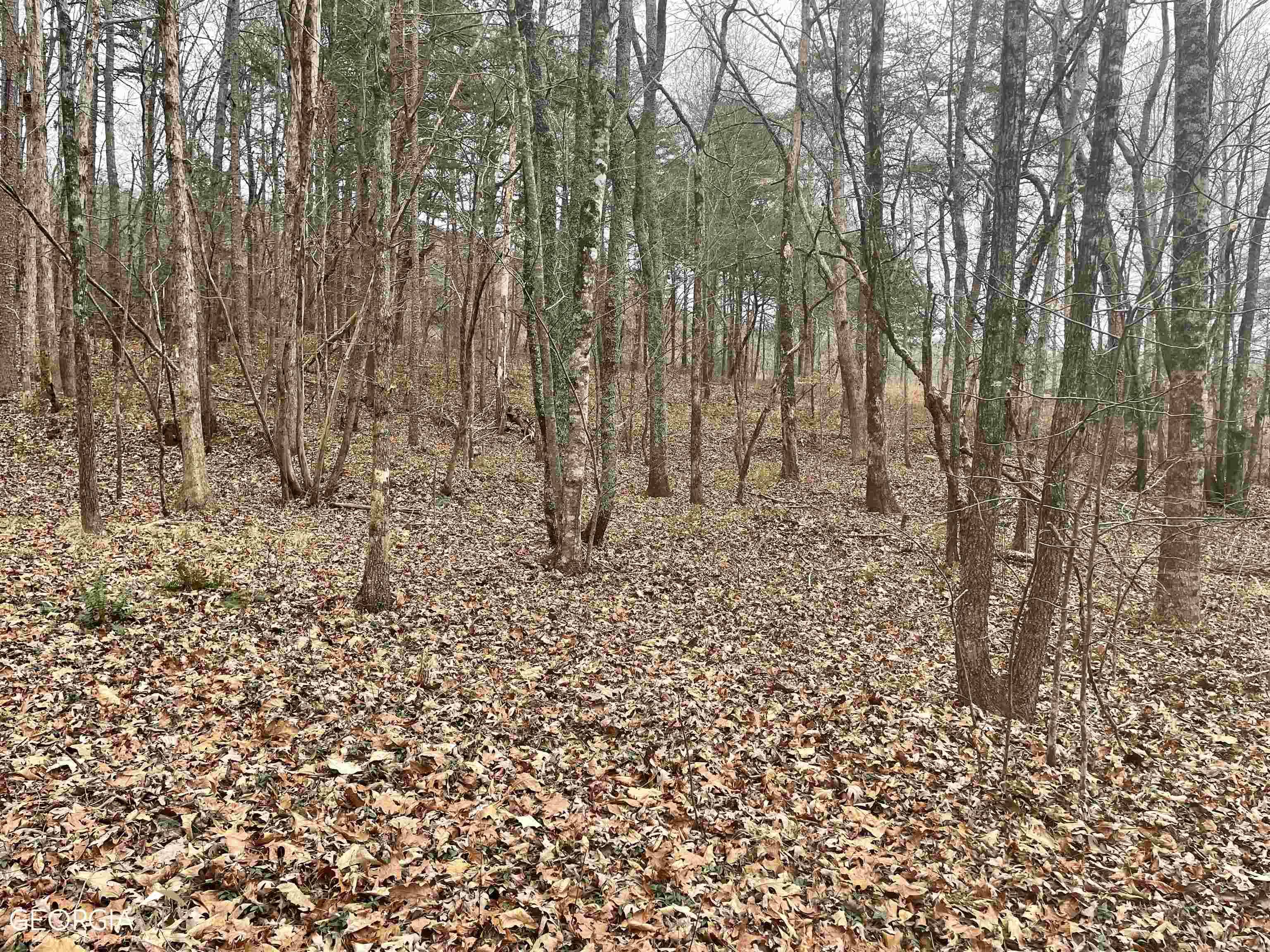 Cleveland, GA 30528,LOT 13 Teel Mountain