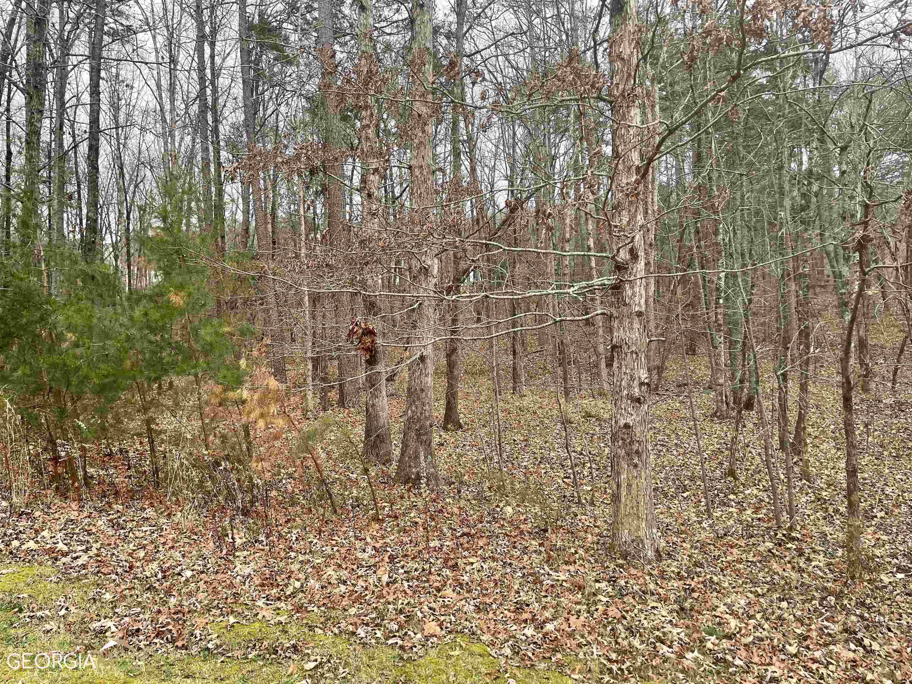 Cleveland, GA 30528,LOT 13 Teel Mountain