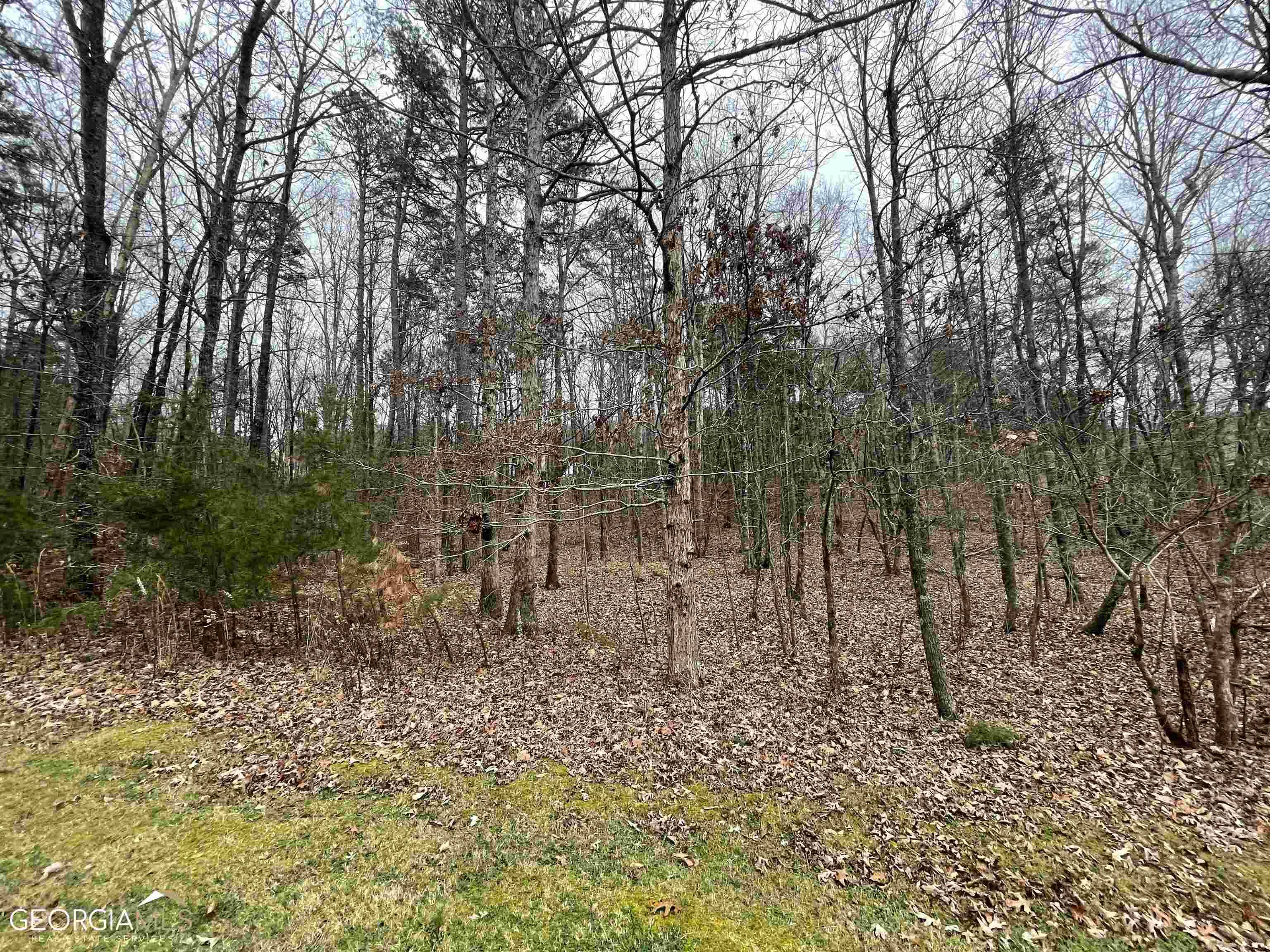 Cleveland, GA 30528,LOT 13 Teel Mountain