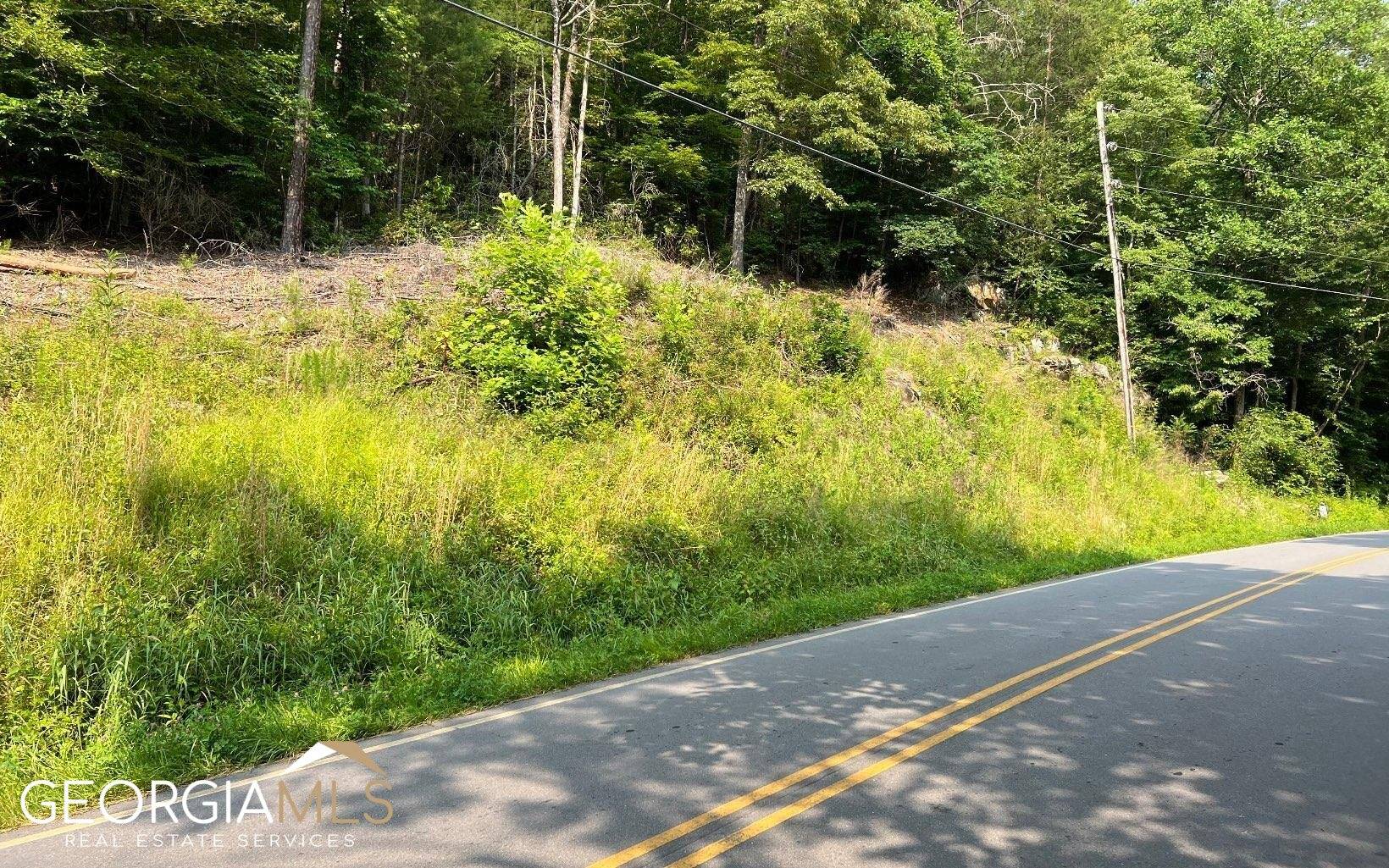 Hayesville, NC 28904,LOT 3 Fires Creek Road