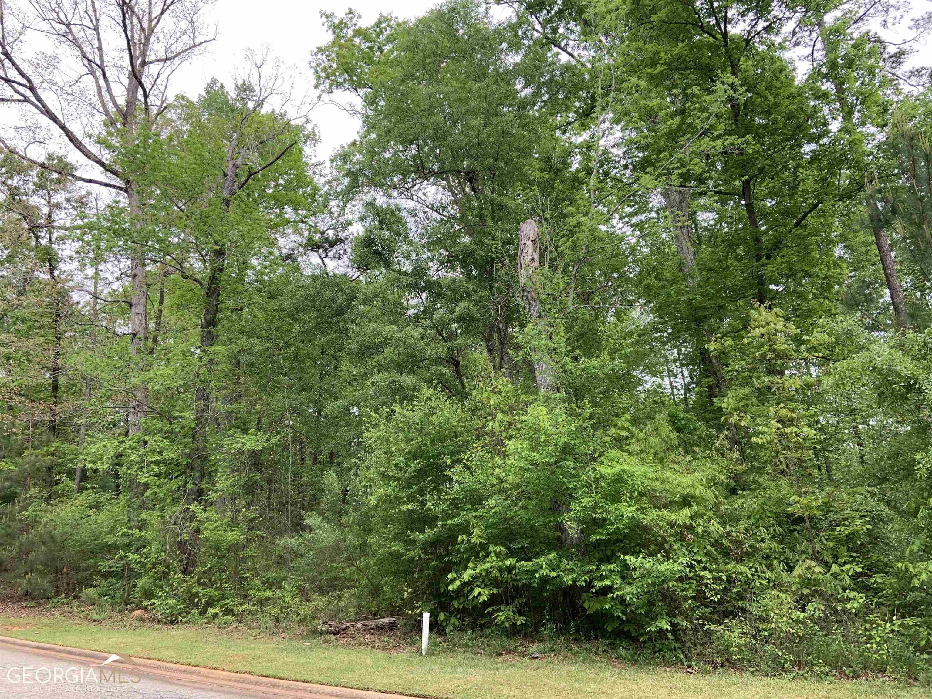 Macon, GA 31220,113 Greenview TER