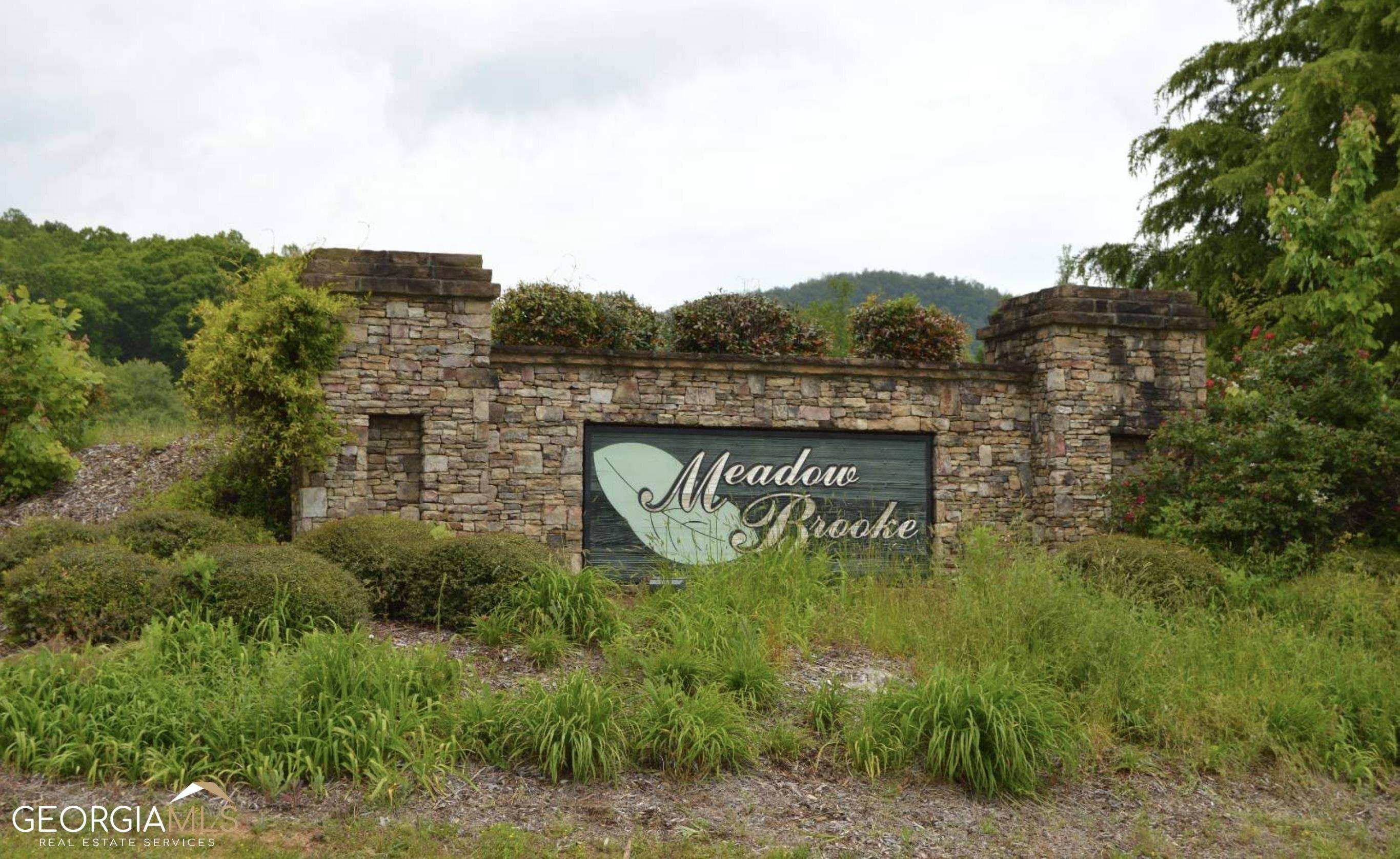 Young Harris, GA 30582,#30 Meadow Brooke
