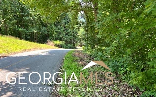 Hiawassee, GA 30546,LOT 5 Chancey Drive