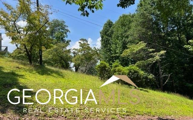 Hiawassee, GA 30546,LOT 5 Chancey Drive