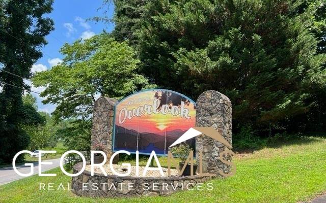 Hiawassee, GA 30546,LOT 5 Chancey Drive