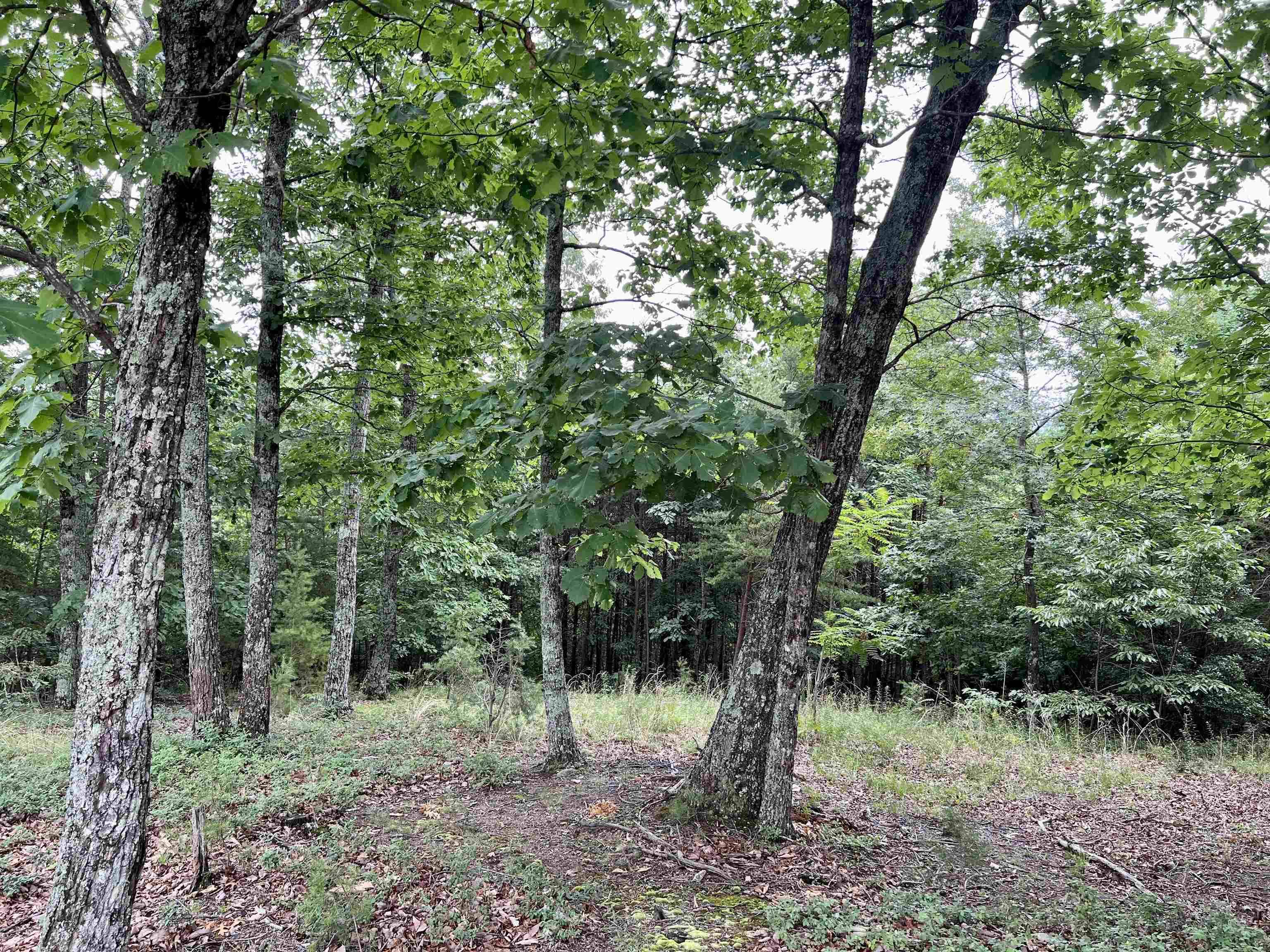 Cleveland, GA 30528,0 Timber Rock