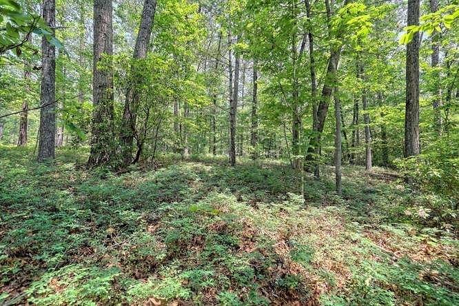 Clarkesville, GA 30523,LOT 7 Old Panther Mill Tr