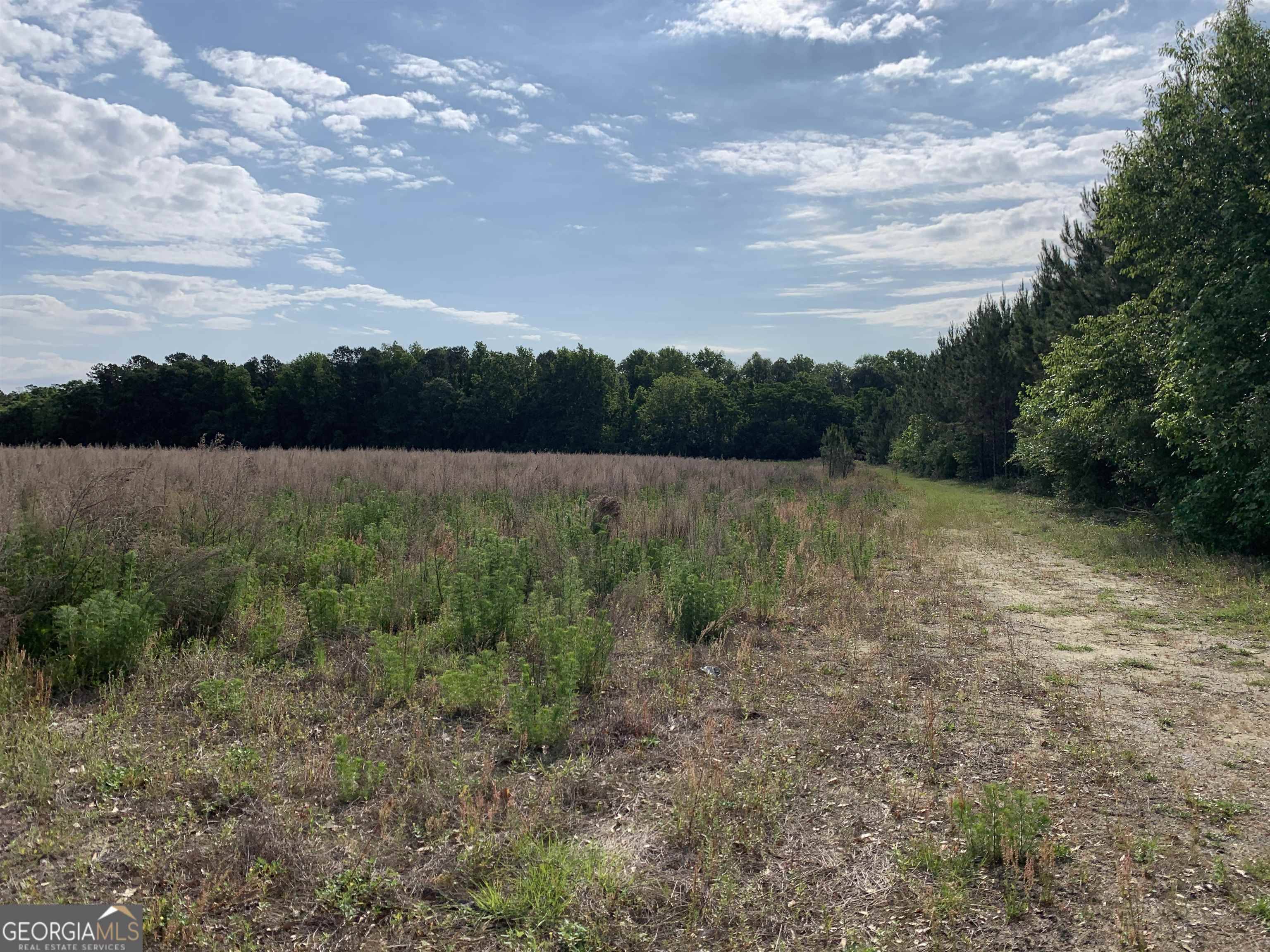 Sylvania, GA 30467,0 Mock ST #LOT 1