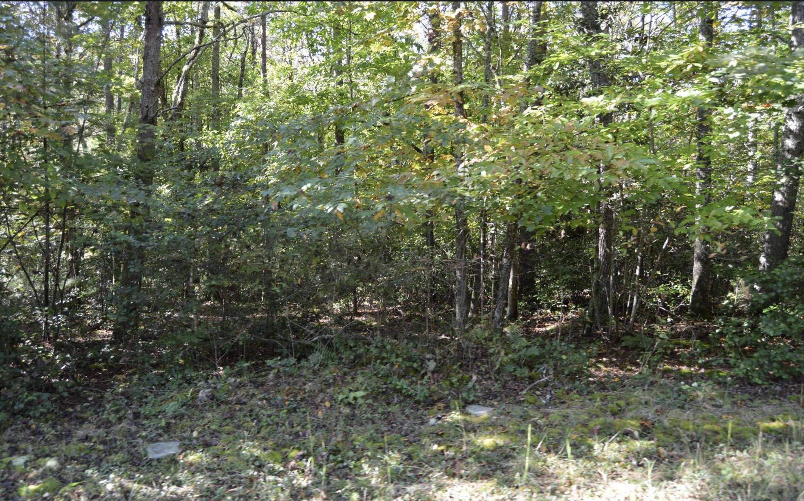 Warne, NC 28909,#1 Willow Ridge 7a